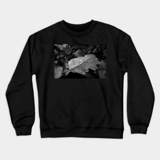 Dew Drops on Autumn Leaves Crewneck Sweatshirt